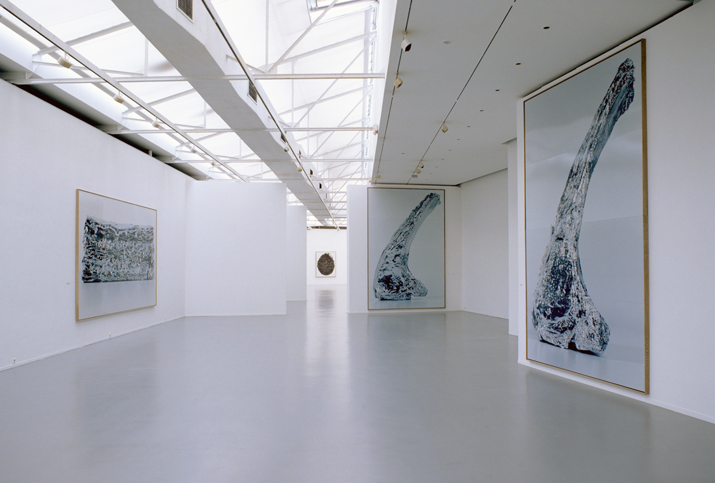 Patrick Tosani - Exhibition view - Musée d'art Moderne de la Ville de Paris, 1994